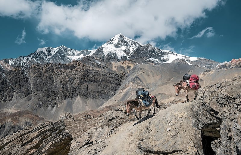 Mountain Peak Adventures